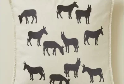 Housse de coussin brodé Les ânes brodés