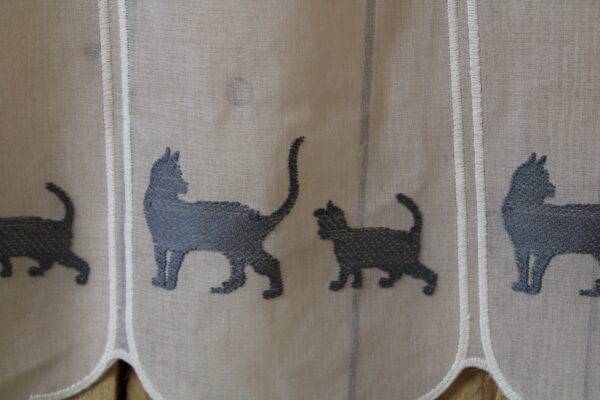 Brise bise Chat gris – Image 2