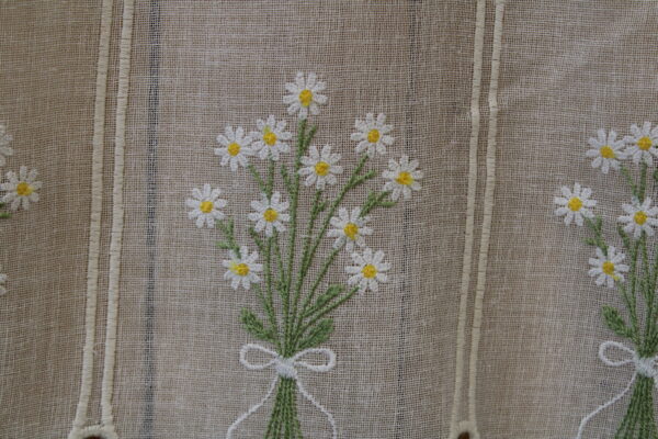 Brise bise  Pâquerettes – Image 3